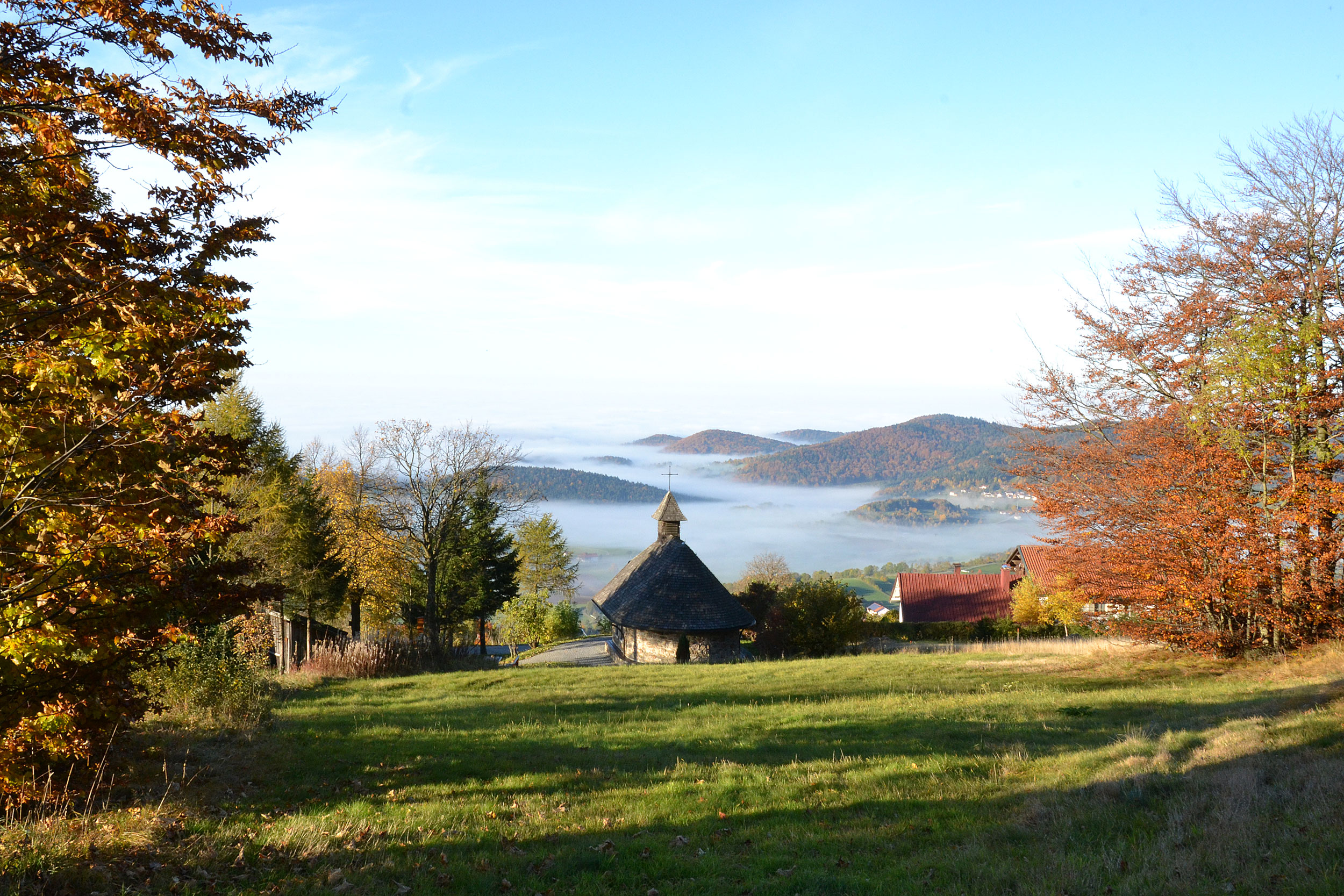 Urlaub im Bayerischen Wald - Haidelregion